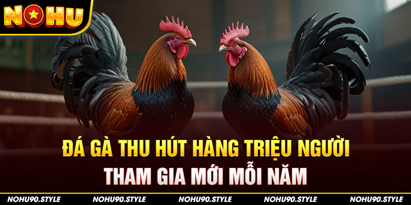 Đá Gà Thu Hút Hàng Triệu Người Tham Gia Mới Mỗi Năm